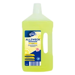 Allesreiniger