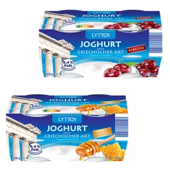 Joghurt griechische Art: Honig/Heidelbeere