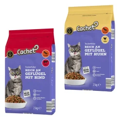 Katzentrockennahrung