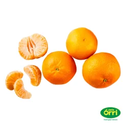 Mandarinen